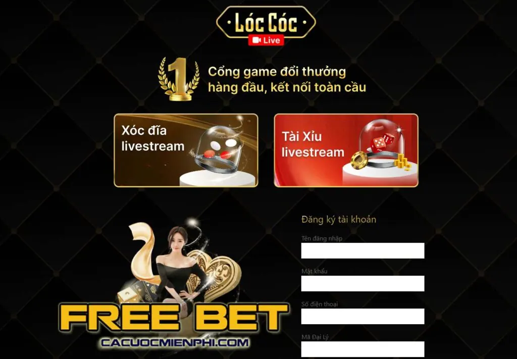 Hướng dẫn Sao789 - Bắt đầu từ thông tin bạn thực sự cần